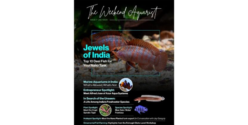 The Weekend Aquarist Releases Its 7th Issue — Available on Magzter and in Print Across India