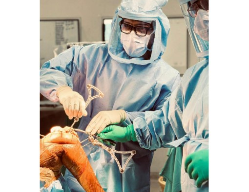 The Precision Revolution; Robotic Joint replacement an Article by Dr Dibya Singha