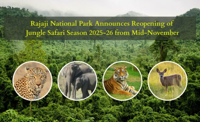 Rajaji National Park Announces Reopening of Jungle Safari Season from Mid-November